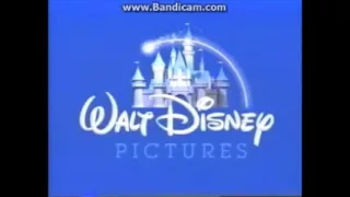 Walt Disney Pictures Logo (Reversed)