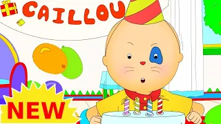 ★ Caillou Birthday Party ★ Funny Animated Caillou | Cartoons for kids | Caillou