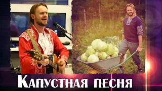 Весёлый капустный рок-н-ролл!  [ ПЕСНЯ ОГОНЬ! 🔥🔥] Союз Шадровых