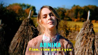 ARNICA - Гіля, гіля дикі гуси 🎵Сучасна українська музика🎵Нова Українська Пісня