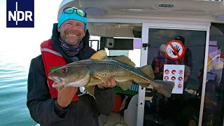 Unterwegs mit dem Profi-Angler  | Die Nordreportage | NDR