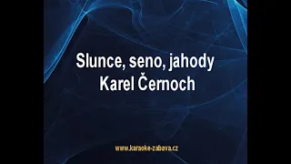 Slunce, seno, jahody (melodie z fi - Karel Černoch Karaoke tip