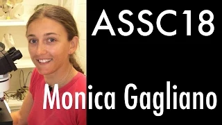 Monica Gagliano at ASSC18: Panpsychism Workshop (July 2014)
