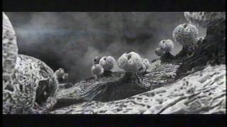 Summer of Sci Fi Scinema Event intro ident (2000)