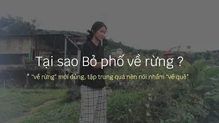 Bỏ phố về rừng bắt đầu từ con số 0