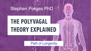 115-The Polyvagal Theory Explained