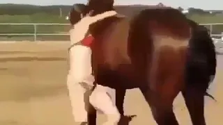 Girl trying to horse riding ....very funny 😂😂😂😂