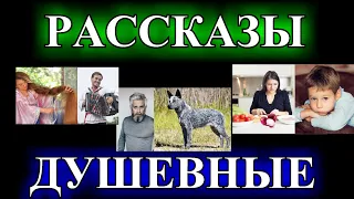 ОПТИМИСТИЧЕСКИЕ  ДУШЕВНЫЕ  РАССКАЗЫ❤️ПЕРЕЦ С СОЛЬЮ❤️ЧУЖАЯ КУРТКА❤️ОБМАНУТАЯ НЕВЕСТА @TEFI РАССКАЗЫ