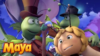 LOS AMIGOS BICHOS MÁS CURIOSOS DE MAYA 🐛🪳🐜 MEJORES CAPÍTULOS DE MAYA para niños en ESPAÑOL 🐝