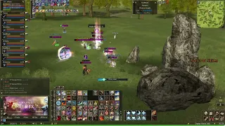 Lineage II Amerika - PVP Zone - 02/05/2024 - Elven Forest