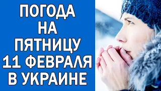 ПОГОДА НА 11 ФЕВРАЛЯ : ПОГОДА НА СЕГОДНЯ