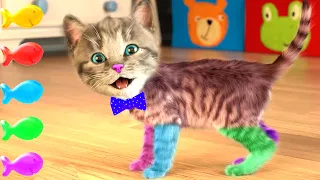 FUNNIEST LITTLE KITTEN MY FAVORITE |  PLAY CAT CARE GAMES FOR BABY TODDLERS AND CHILDREN FOR KIDS