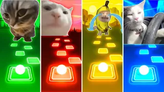 Chipi Chipi Chapa Chapa Cat vs Vibing Cat vs Banana Cat vs Driving Cat - Tiles Hop EDM Rush