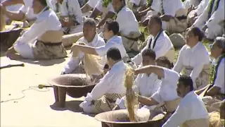 Kava Clubs and Black Fowls - Tales from Te Papa episode 120