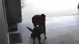 9-Year-Old Boy Caught Hugging Dog on Surveillance Just Got His Own Puppy