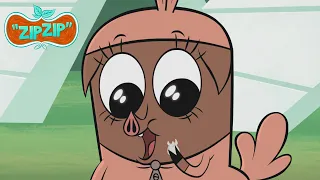 A tooth for a clothespin | Zip Zip English | Full Episodes | 3H | S2 | Cartoon