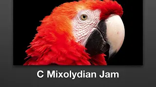 C Mixolydian jam track