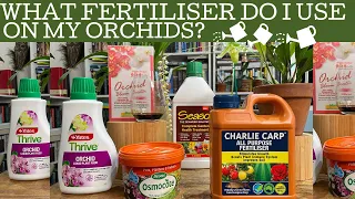 What fertilisers do I use on my orchids? When do I fertiliser my orchids and how much do I use?