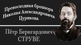 П.Б. Струве. Превосходная брошюра Н.А.Цурикова