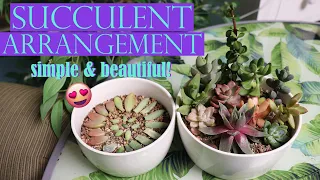 Creating A SUCCULENT ARRANGEMENT!