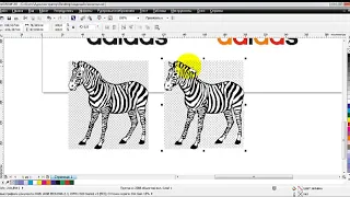 Трассировка растровых изображений в программе Corel Draw