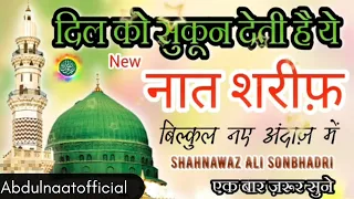 दिल को सुकून देती है ये नात शरीफ। बिल्कुल नये अंदाज में एक बार जरूर सुनें Abdulnaatofficial . naat