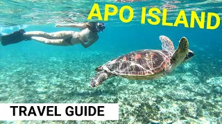 Apo island, PHILIPPINES TRAVEL GUIDE (Dumaguete vlog)