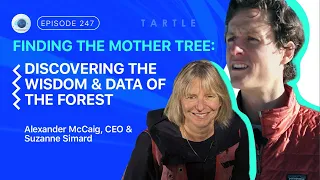 Discovering the Wisdom & Data of the Forest - Special Guest: Forest Ecologist Suzanne Simard