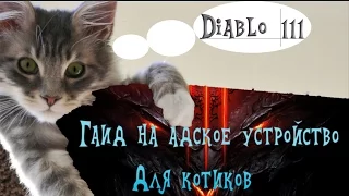 Diablo III. Гайд на Адское устройство.