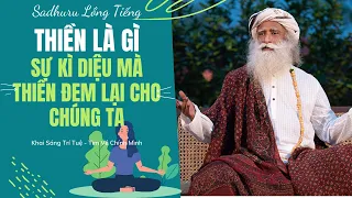 Thiền Là Gì - Sự Kì Diệu Của Thiền  | Sadhguru Lồng Tiếng # 56