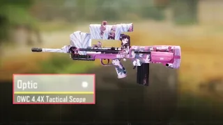 FR556 is My Favorite SNIPER