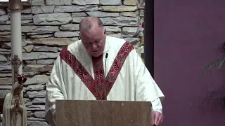 Fr  Culkin Homily 5/12/24