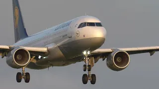 Lufthansa  Airbus A320   MSN 7256   D AIUX very close up  landing CDG 4K september 2019