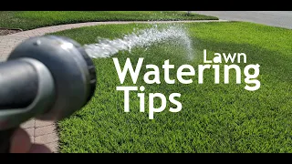 How To Set Up Impact Sprinklers for Summer Lawn Watering