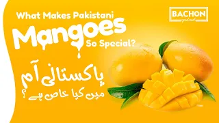 What Makes Pakistani Mangoes So Special? | پاکستانی آم میں کیا خاص ہے؟