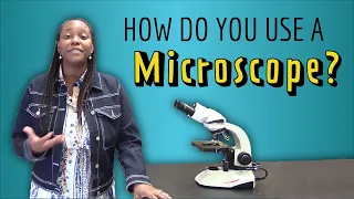 How do you use a Light Microscope? A step-by-step guide!