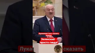 Лукашенко открыл правду: Зеленский - просто гнида!