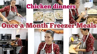 Large Family Once a Month CHICKEN freezer meals