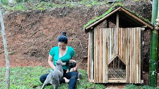 Make a dog house out of wood, spread grass in front of the bamboo house--girl & bamboo house