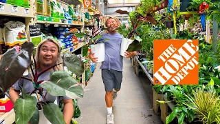 What “The Best” Home Depot for Houseplants Has in Stock Right Now