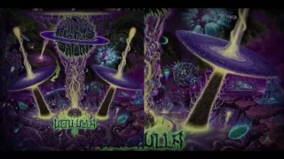 Rings of Saturn - Macrocosm (NEW INSTRUMENTAL) 2017