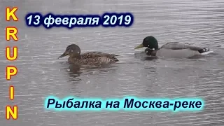 Рыбалка на Москве-реке. 13 февраля 2019. Первая за три месяца...