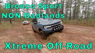 Unleashing the Beast Conquering Red Dirt Roads in the Bronco Sport