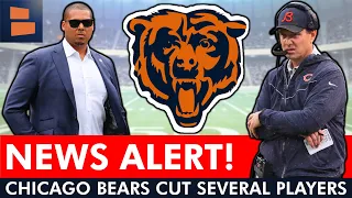 🚨 JUST IN: Chicago Bears Cut SEVERAL Players In New Roster Moves From Ryan Poles | Bears News Today
