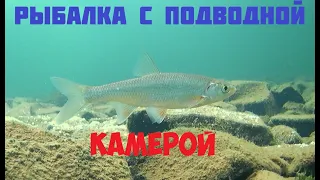 Зимняя рыбалка на Сибирской реке/Тест камеры Язь-52-компакт 9" PRO