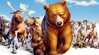 Главное о фильме: Братец медвежонок