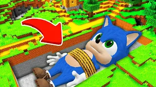 JE TROUVE LA TOMBE SECRÈTE DE SONIC SUR MINECRAFT !