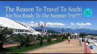The Reason To Travel To Sochi City This Summer!!! Trip to Sochi part 1.