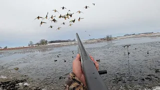 EPIC 5-MAN LIMIT Ice Hole Duck Hunt! (THEY WANTED IN)