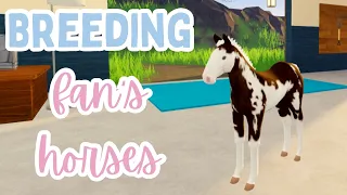 MY LUCKIEST BREED EVER?! / Breeding with fan’s horses! | Wild Horse Islands